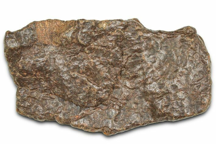 Chondrite Meteorite ( g) - Western Sahara Desert #371318
